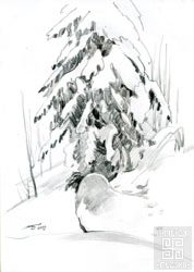зарисовка "Снежные комья на ели" бумага, карандаш  2009г.