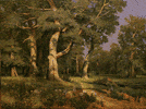 Копия  картины  И.И.Шишкина.  Дубовая  роща copy  I.I.Shishkin  Oak  Grove  Холст, масло  2007г. размер  60х80см  cize  60x80cm Холст, масло  2007г. 